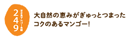宮古島マンゴー本舗249 大自然の恵みがぎゅっとつまったコクのあるマンゴー