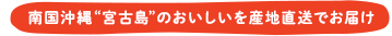 南国沖縄“宮古島”のおいしいを産地直送でお届け
