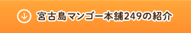 宮古島マンゴー本舗249の紹介