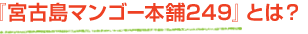 『宮古島マンゴー本舗249』とは？