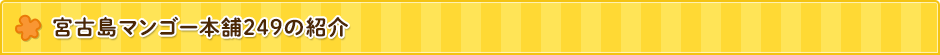 宮古島マンゴー本舗249の紹介