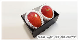 ギフトイメージ