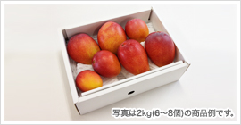 ギフトイメージ