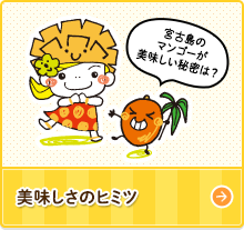 美味しさのヒミツ