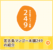 宮古島マンゴー本舗249の紹介