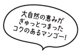 大自然の恵みがぎゅっとつまったコクのあるマンゴー！