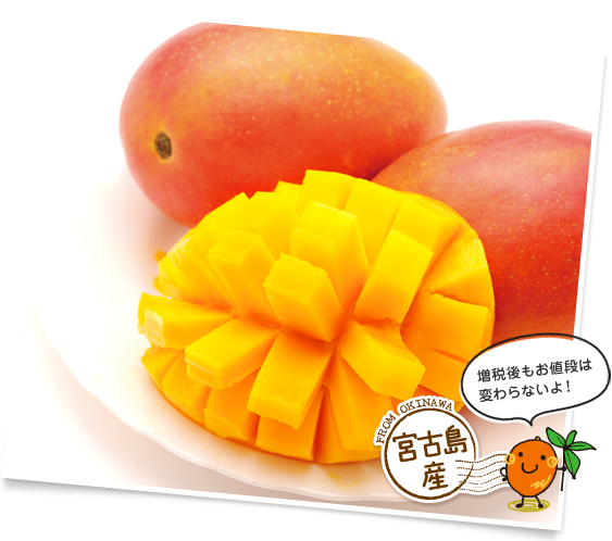 宮古島産 増税後もお値段は変わらないよ！