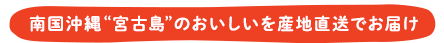 南国沖縄 宮古島 のおいしいを産地直送でお届け